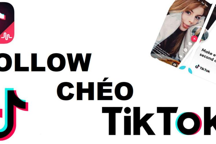follow-cheo-tik-tok-la-gi-cach-cheo-follow-tik-tok-hieu-qua-nhat